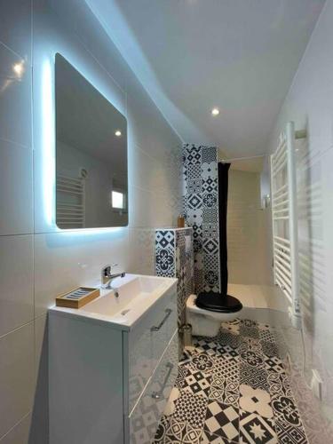 une salle de bain avec un lavabo, des toilettes et un miroir dans l'établissement Studio Confortable - Périgueux, à Périgueux