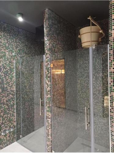 a bathroom with a shower with mosaic tiles on the wall at Apartman Žaxtef Wellnes&Spa in Zlatibor