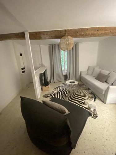 un salon avec un canapé à motifs zébré et un salon avec dans l'établissement Spacious house in Gruissan for 8 people, à Gruissan