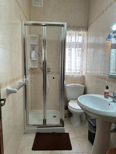 a bathroom with a shower and a toilet and a sink at Grazzja Traditional Apartment in Żabbar