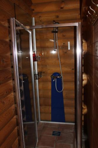 a shower with a glass door in a bathroom at Schlaffässer Teichwiesenhof in Oldenburg in Holstein
