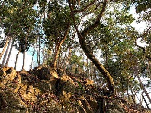 Landskap semula jadi dekat dengan chalet