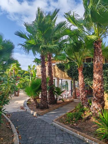 une rangée de palmiers devant une maison dans l'établissement Residence Agathea, au Cap d'Agde