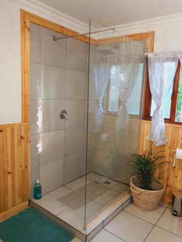 Un baño de Elephants loft