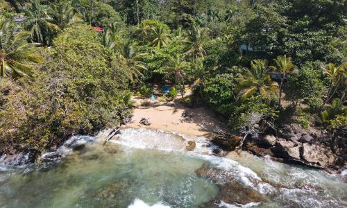 an aerial view of a beach with palm trees at Bird Island Bungalows in Bocas del Toro