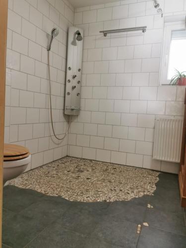 a bathroom with a shower and a toilet at Gästehaus zum Gesundheitszentrum Matz in Sulzdorf an der Lederhecke