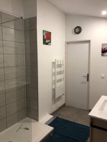 une salle de bain avec douche et porte vitrée dans l'établissement oiseau du paradis, à Illies