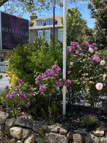 Κήπος έξω από το The Rosefield