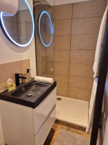 une salle de bain avec un lavabo et un miroir dans l'établissement Studio Moderne et Cosy à Miribel, à Miribel