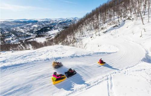 a group of people riding down a snow covered slope at 3 Bedroom Cozy Apartment In Ål in Skarsgård