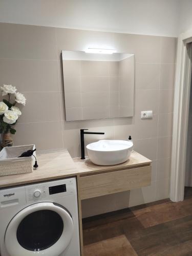 ein Badezimmer mit Waschbecken und Waschmaschine in der Unterkunft LOFT LA Santander Centro in Santander