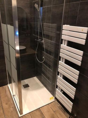 une douche avec une porte vitrée dans une salle de bain dans l'établissement Chalet avec SPA et étang à proximité du Lac, à Anthy