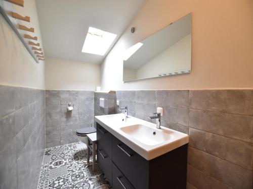 a bathroom with a sink and a mirror at Gutshofblick XL in Hanshagen