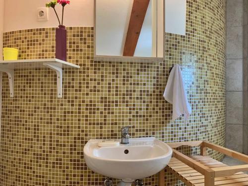 łazienka z umywalką i lustrem w obiekcie Apartments Savic w mieście Šilo