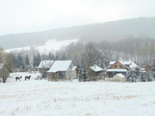 a snow covered house in a field with horses in it at Nad Horyłką in Ropienka