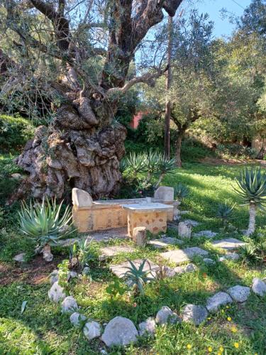 a stone bench in a garden with a tree at Robin Hood in Akrotiri
