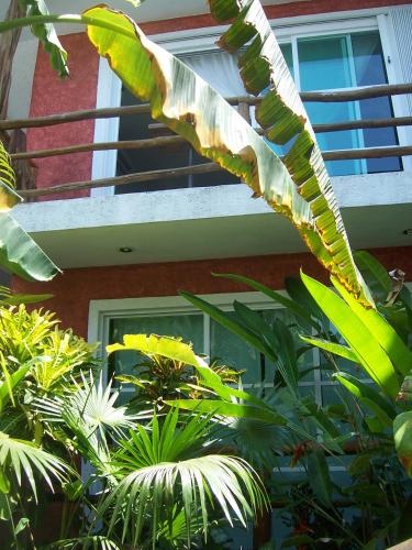 un gran árbol frondoso frente a un edificio en Elements of the Island, en Isla Mujeres