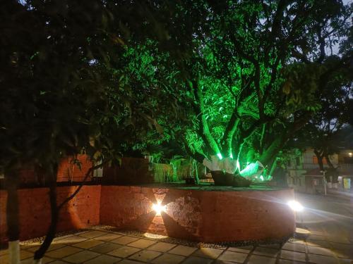 a large tree with green lights on a wall at Shantadurga Beachside Homestay in Guhagar