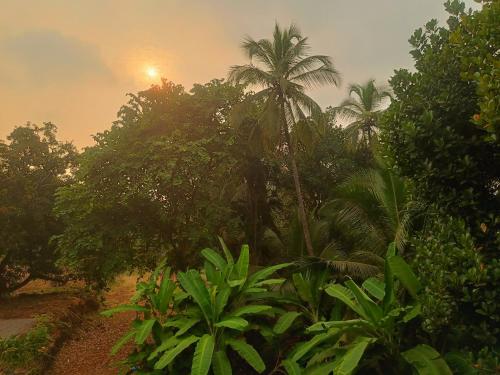 a dirt road through a forest with palm trees at Shantadurga Beachside Homestay in Guhagar