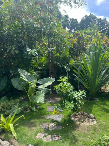 a garden with a path in the grass at Wabi Sabi Hana in Punta Uva
