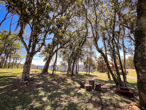 a park with trees and benches in a field at Chalé dos Coqueiros em Nova Petrópolis in Nova Petrópolis