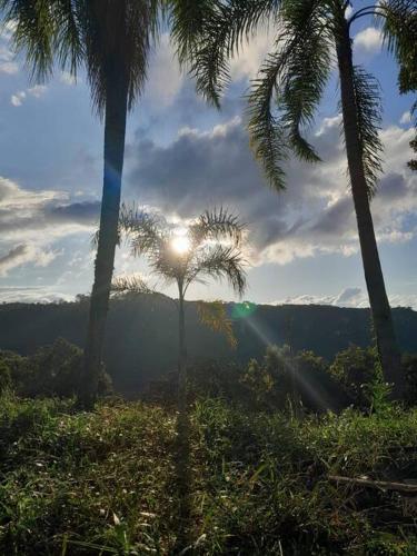 a sun shining through two palm trees in a field at Chalé dos Coqueiros em Nova Petrópolis in Nova Petrópolis