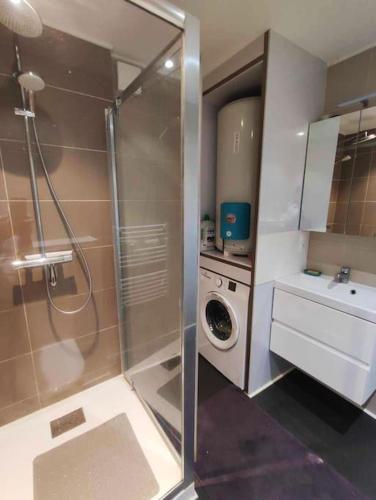 une salle de bain avec douche et machine à laver dans l'établissement Appartement T3 - Centre Cambrai, à Cambrai