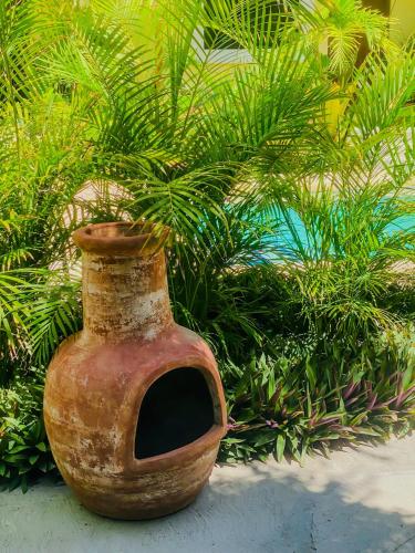 Giardino di Gallo Azul Hotel, en el corazón de Todos Santos