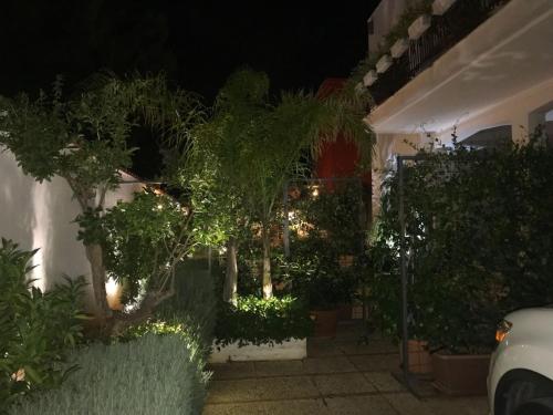 a garden at night with trees and lights at Holiday & House - Imparato Carini Costa Verde in Carini