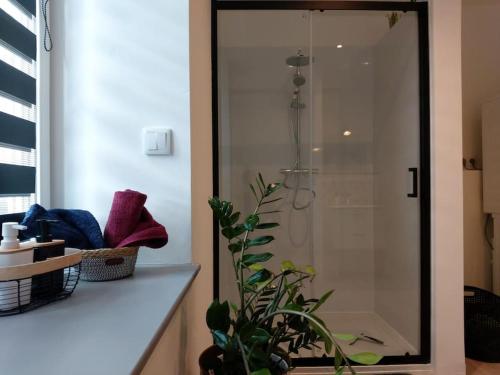 a bathroom with a shower and a plant on a counter at Au 147 Appartement charmant 2 personnes in Ligny-en-Barrois