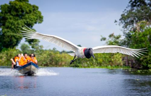 a group of people in a boat on a river with a bird at Hotel Pantanal Mato Grosso in Poconé