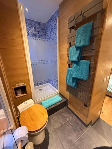 La salle de bains est pourvue d'une douche et de toilettes avec des serviettes bleues. dans l'établissement Highly recommended apartment steps from the lake, à Annecy