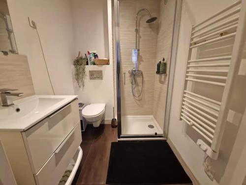 une salle de bain avec une douche, un lavabo et des toilettes dans l'établissement Appartment 2 pieces hyper centre ville, à Nice