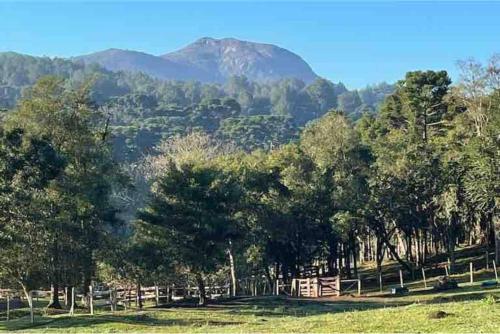 a field with trees and a mountain in the background at Cabanas Grande Passo in Quatro Barras