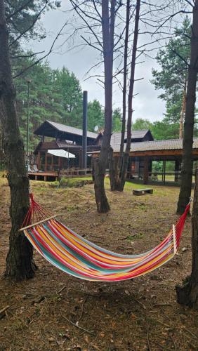 a hammock hanging between two trees in a park at Leśna Osada Szegdy in Szegdy
