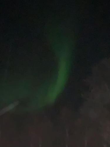 an image of a green aurora in the sky at House with charm, valley with lots of northern lights, Breivikeidet in Tromsø