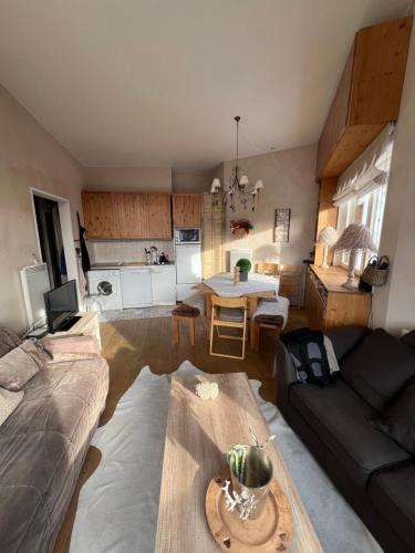 un salon avec un canapé et une table dans l'établissement Bright spacious 1 bedroom apartment in residence SNOW Avoriaz 41m2, à Avoriaz