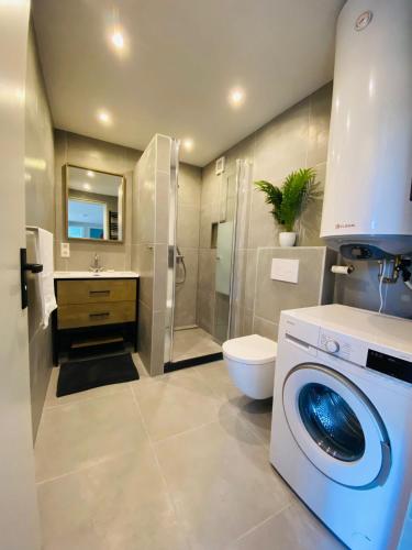 a bathroom with a washing machine and a toilet at Morning Glory Huisje Jasmijn in Beekbergen