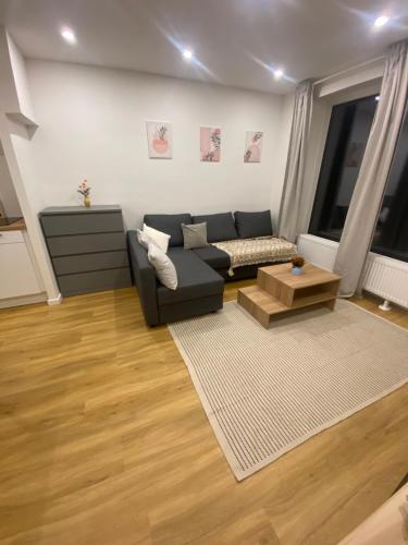 a living room with a couch and a coffee table at Stadtwald Appartement Christa in Uelzen