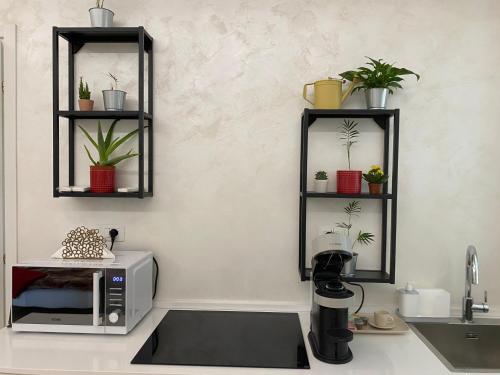 a kitchen with a microwave and shelves with plants at zona ospedali - luminoso e nuovo, posto auto - Casa Perin in Padova