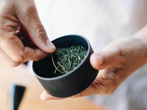 a person holding a black cup filled with green marijuana at RITA Yame Fukushima in Yame