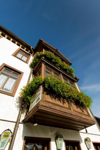a building with a window with plants on it at Pension Zum-Ratsherrn in Friedrichroda