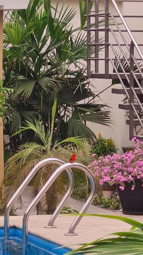 a faucet in a swimming pool with plants at TIKA Casa Jardín & Suites - Suite 2 in Machala