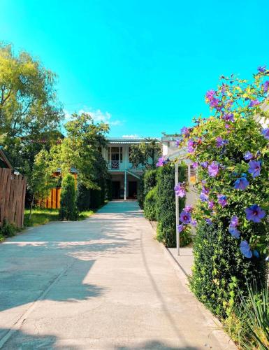 Κήπος έξω από το Green Garden B&B