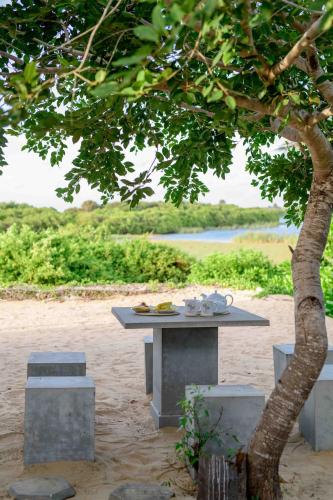 a picnic table under a tree on the beach at Bedrock Beach Villas in Kalpitiya