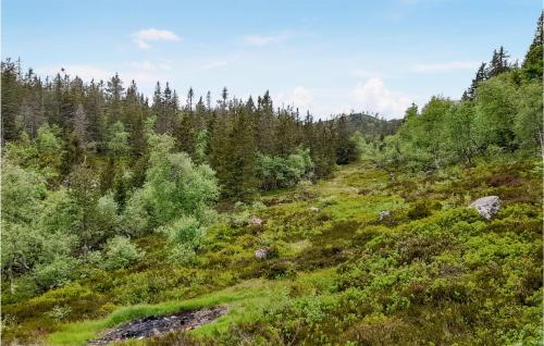 a grassy hill with trees on the side of it at 5 Bedroom Cozy Home In Lifjell in Lifjell