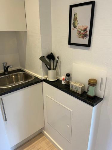 a kitchen with a sink and a counter top at Billund Mini hostel room 4 - Tæt på LEGOLAND og LEGO HOUSE in Billund
