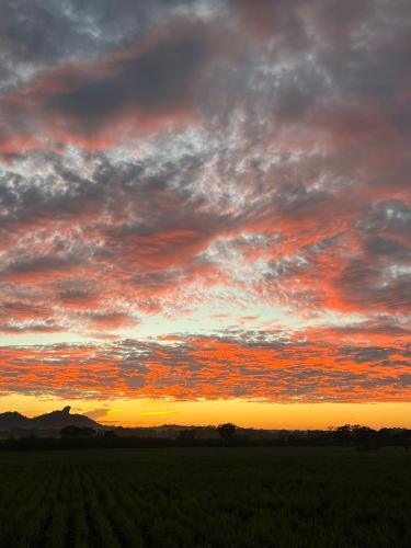 a sunset in a field with a cloudy sky at Forest Tree Top Holiday Resort in Buttala