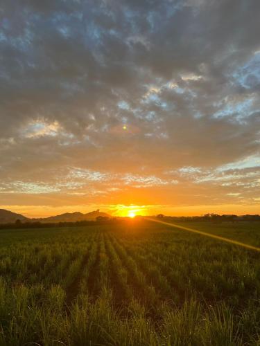 a field with the sun setting in the horizon at Forest Tree Top Holiday Resort in Buttala