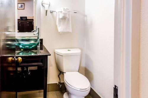 ein Badezimmer mit einem weißen WC und einem Waschbecken in der Unterkunft Comfort Inn Downtown Charleston in Charleston